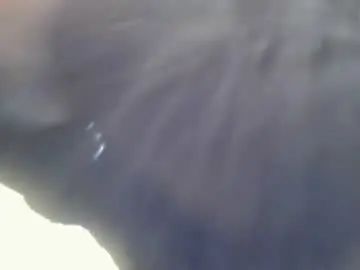 Chaturbate Live Sex Cam of blackcoco20