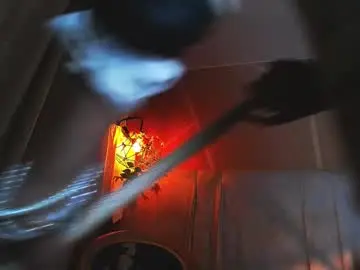 Chaturbate Free Live Porn of brendaliive