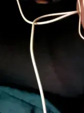 Dscgirls Live Porn of Disha